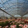 玉泉营花卉市场几点开门(北京玉泉花卉市场营业时间)