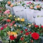 成都温江花卉批发(成都温江花卉批发市场)