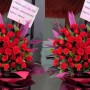 乔迁鲜花（乔迁鲜花买什么花）