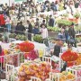 斗南花卉市场怎么坐车(斗南花卉市场离斗南地铁站有多远)