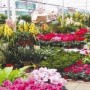 北京南城花卉大世界(北京南城花卉批发市场)
