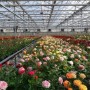 太原市花卉基地(太原养花基地)