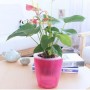 自吸水花盆怎么施肥(自吸水花盆好不好)